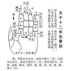 女20二十四必有出嫁之喜的星座婚姻爱情狮子(哪些星座一定出嫁)