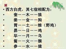 生肖八字合不来有哪些(生肖爱情婚姻)